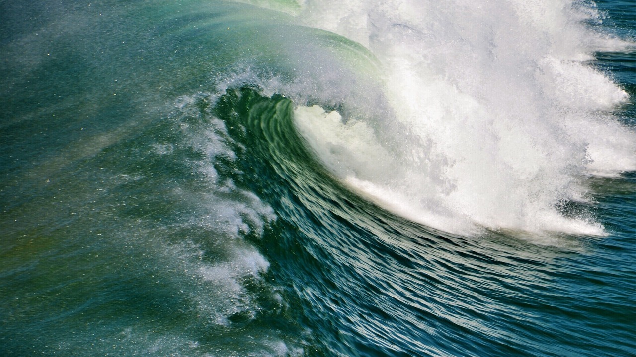 Photo of Others in Biscarrosse Plage