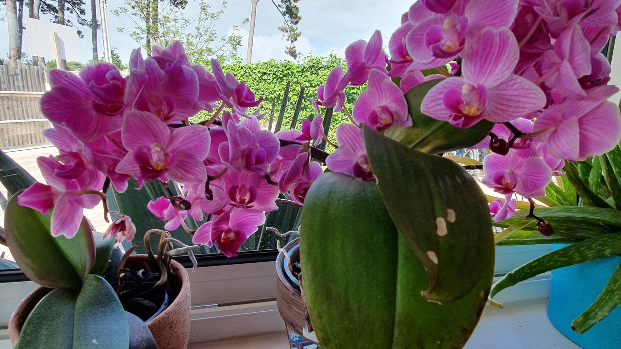 Photo of Others in Biscarrosse Plage