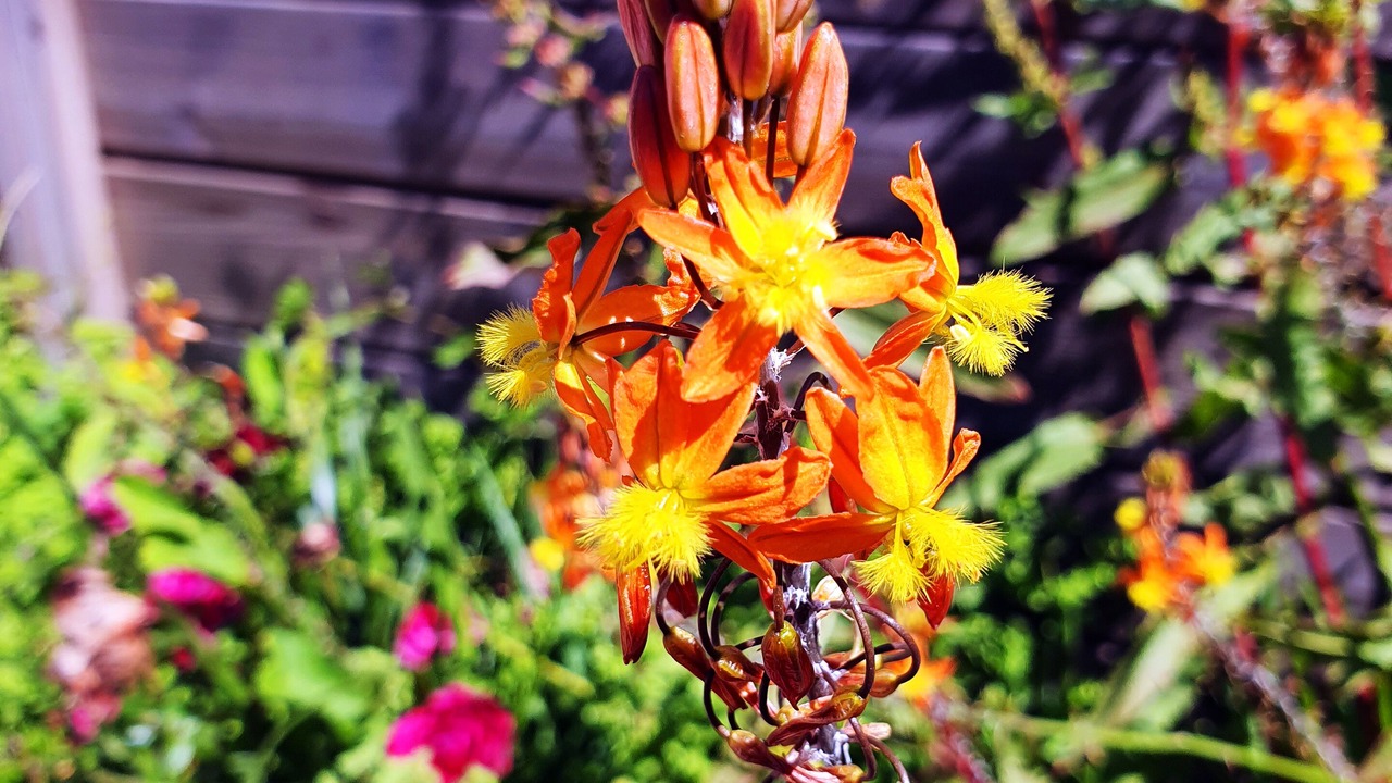 Photo of Outdoor in Biscarrosse Plage