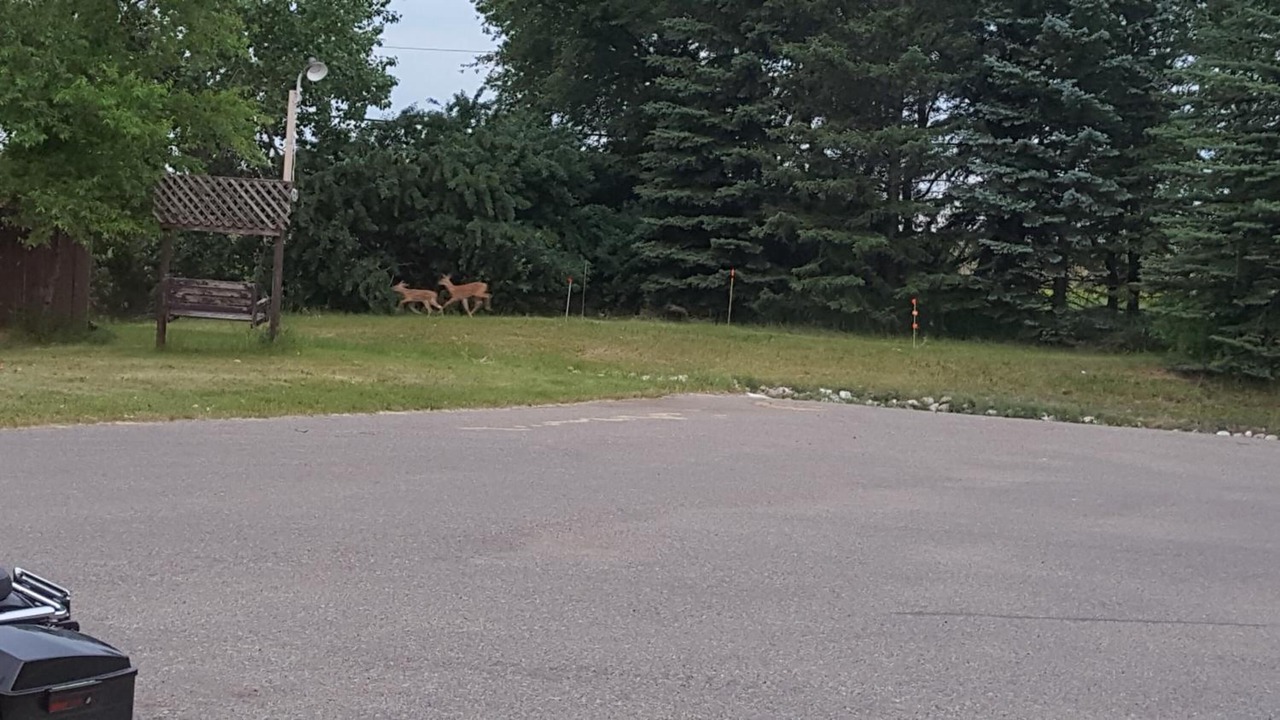 Photo of Outdoor in Brandon