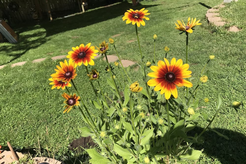 Photo of Others in Washougal