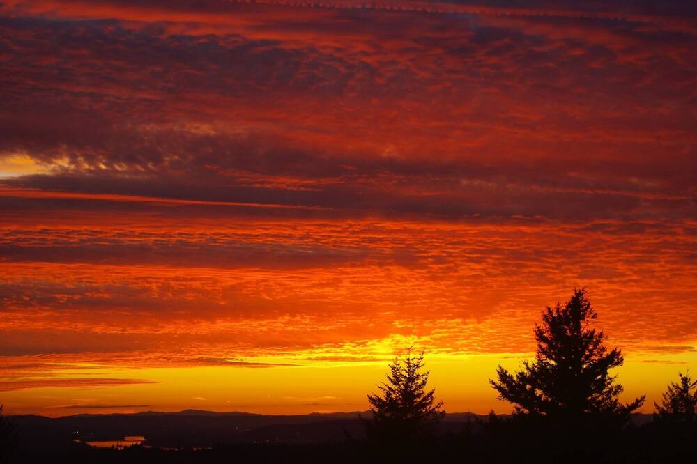 Photo of Others in Washougal