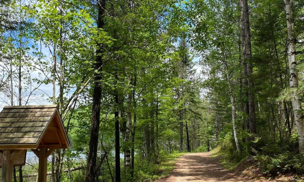 Photo of Outdoor in Mont-Tremblant