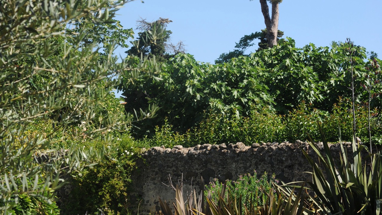 Photo of Outdoor in Marseillan