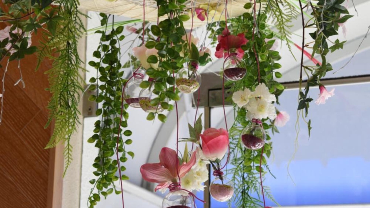 Photo of Others in Vierzon