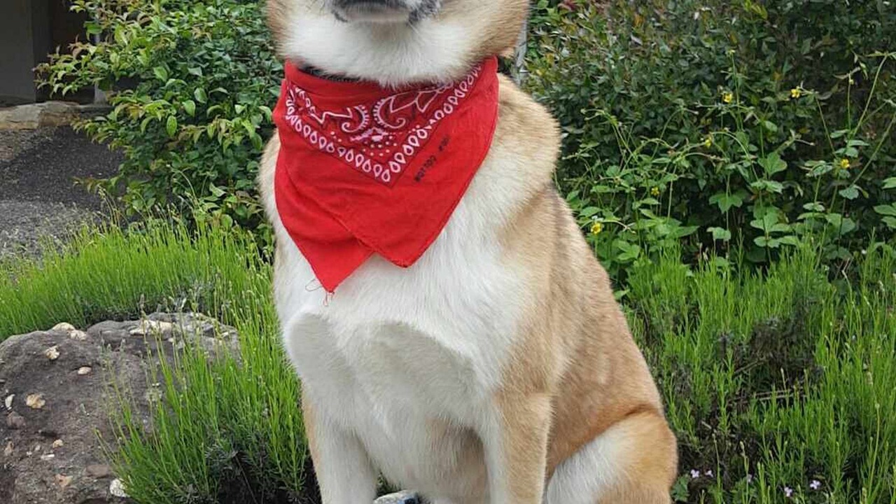 Photo of Others in Froideterre