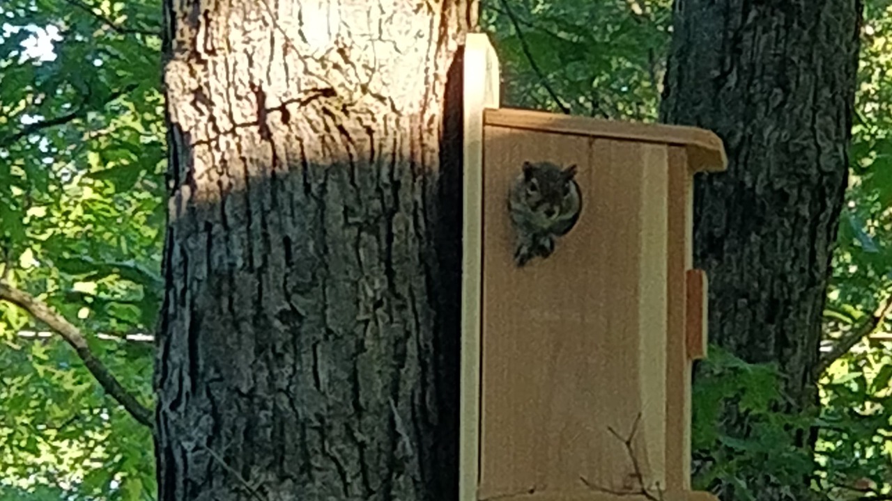 Photo of Outdoor in Mount Pocono