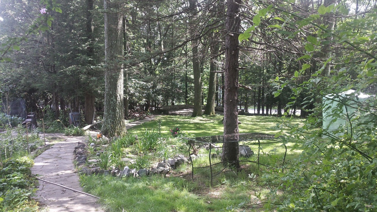 Photo of Outdoor in Mount Pocono