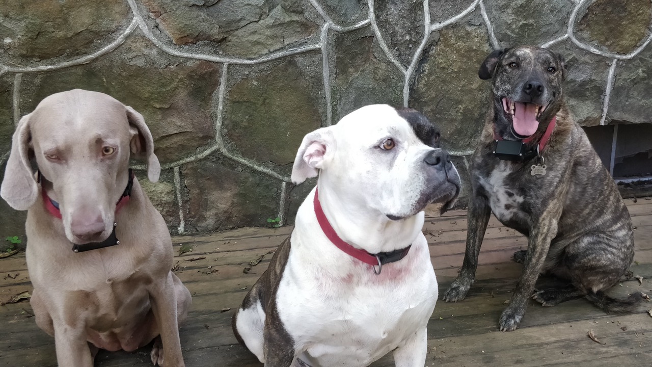 Photo of Outdoor in Mount Pocono