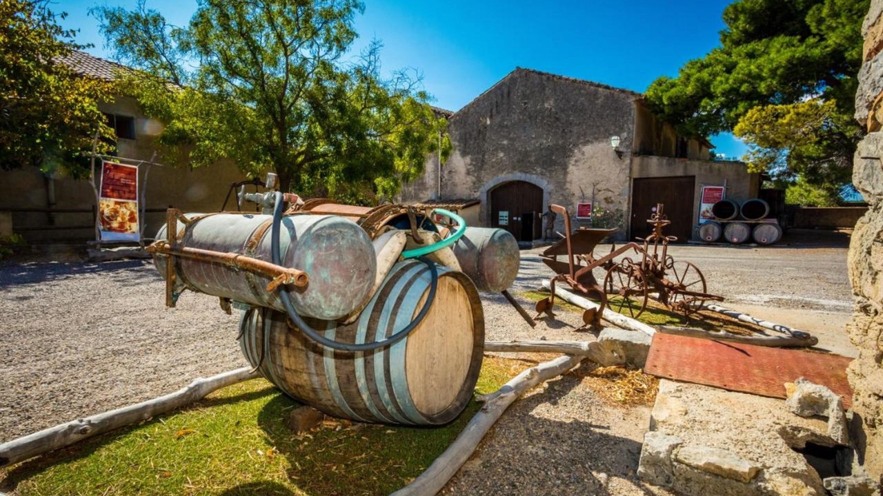 Photo of Others in Gruissan