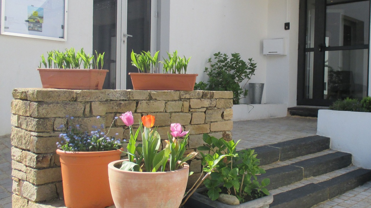 Photo of Outdoor in Port-Manech