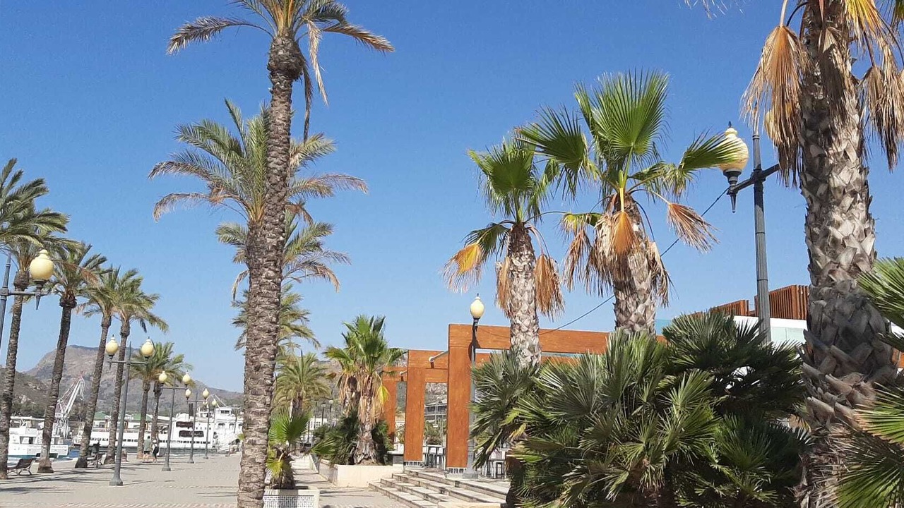 Photo of Others in Diputacion de Cartagena Casco