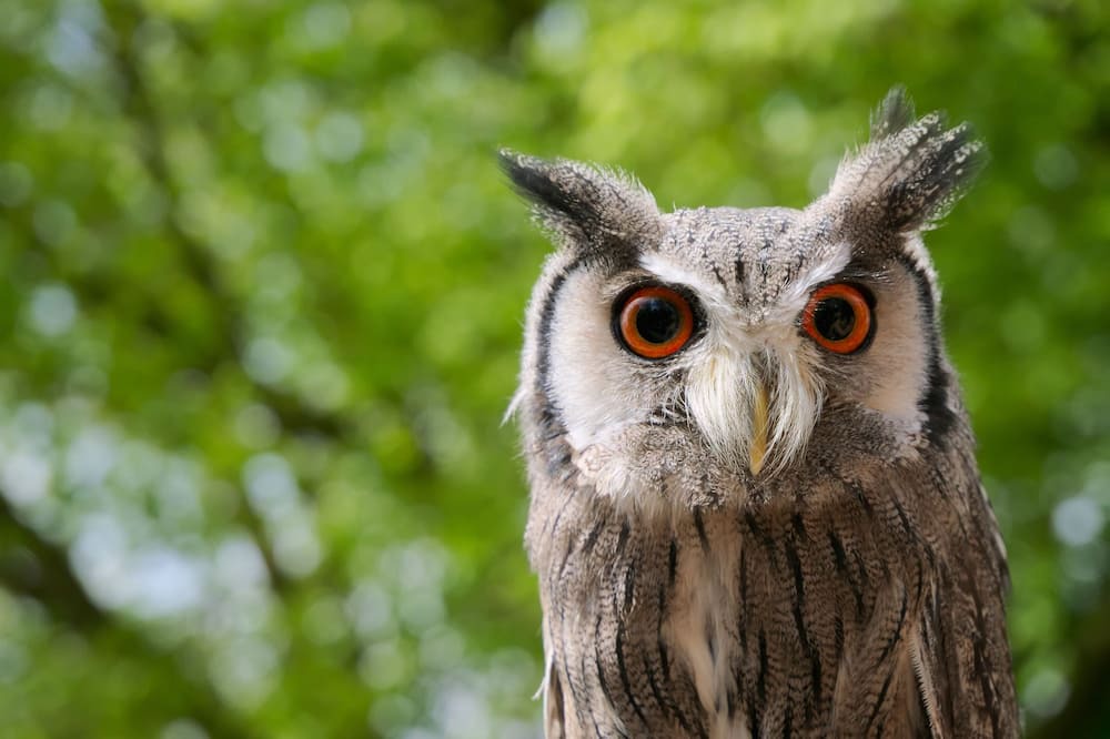 Photo of Outdoor in Sentein