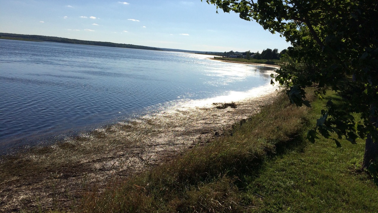 Photo of Others in Shediac