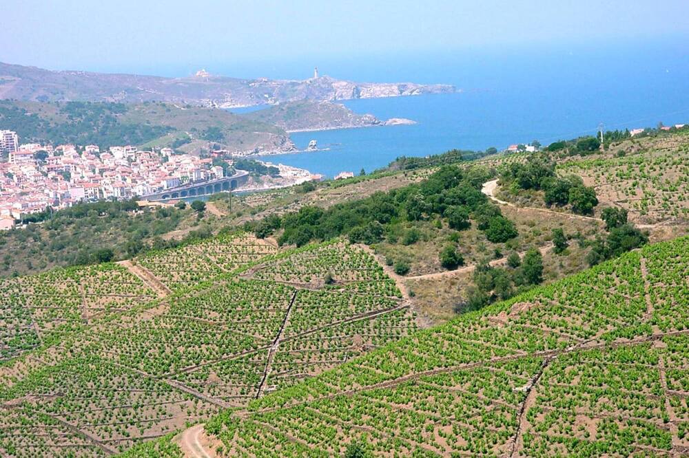 Photo of Outdoor in Banyuls-sur-Mer