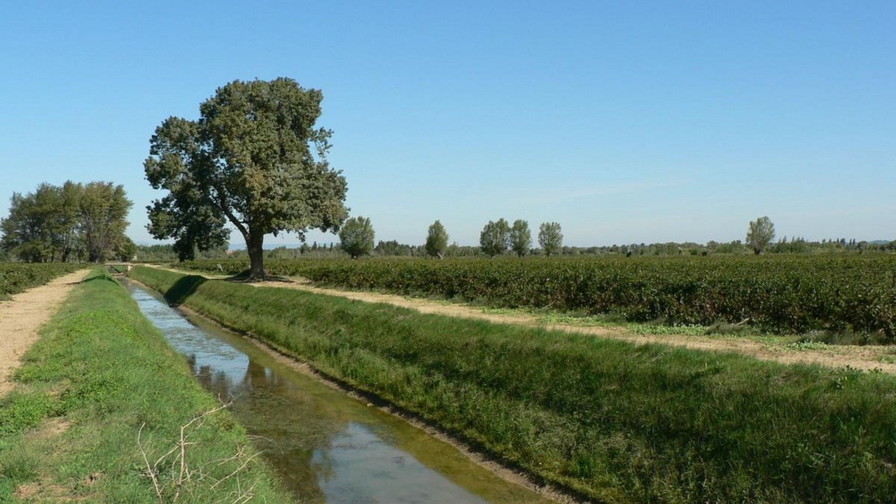 Photo of Outdoor in Narbonne
