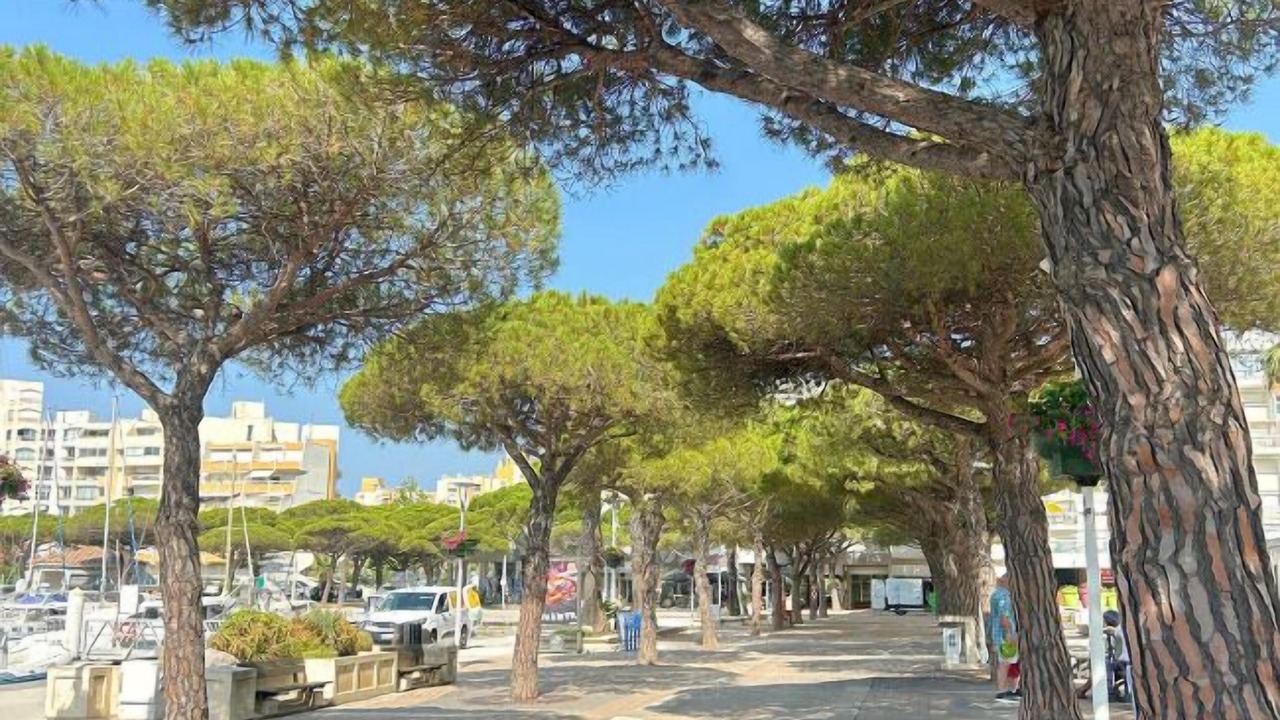 Photo of Others in Carnon-Plage