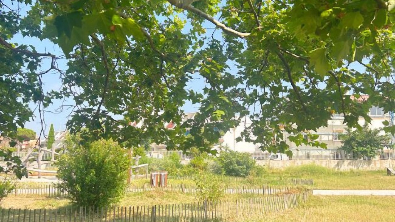Photo of Others in Carnon-Plage