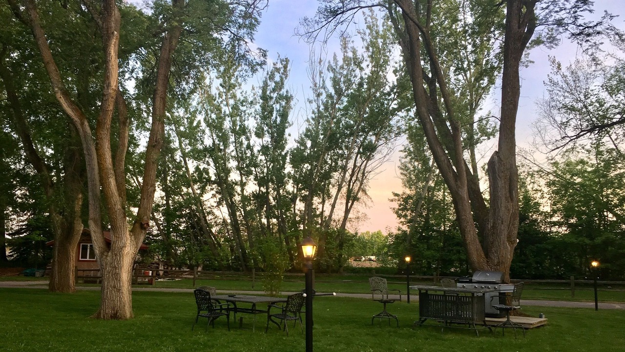 Photo of Outdoor in Williamsburg