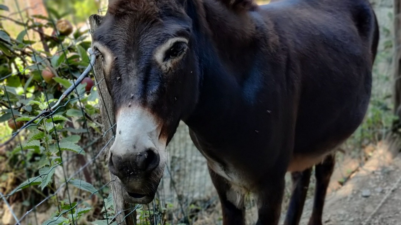 Photo of Others in Gerde