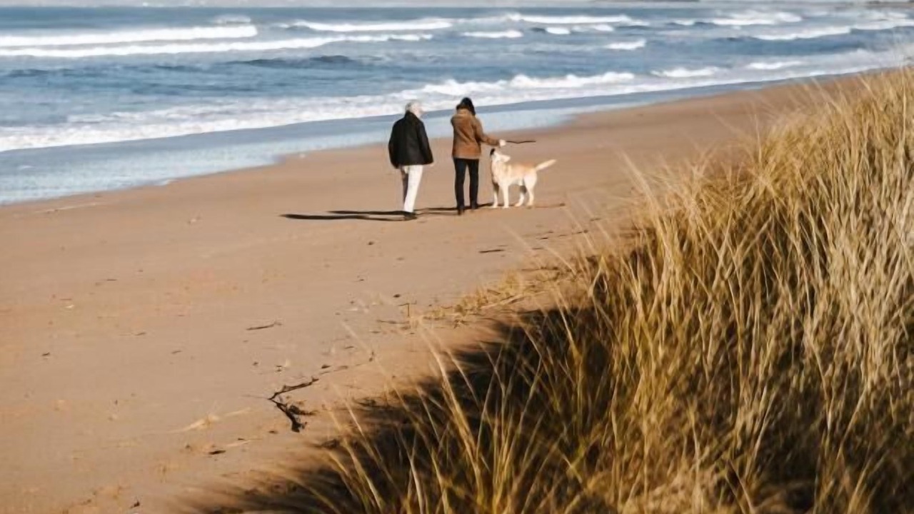 Photo of Others in Port Ellen