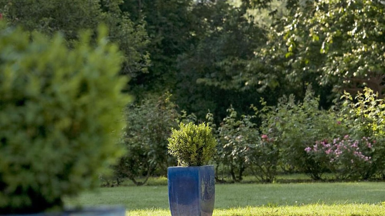 Photo of Outdoor in Montignac