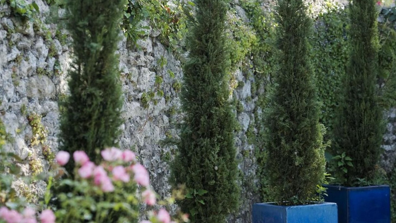 Photo of Outdoor in Montignac