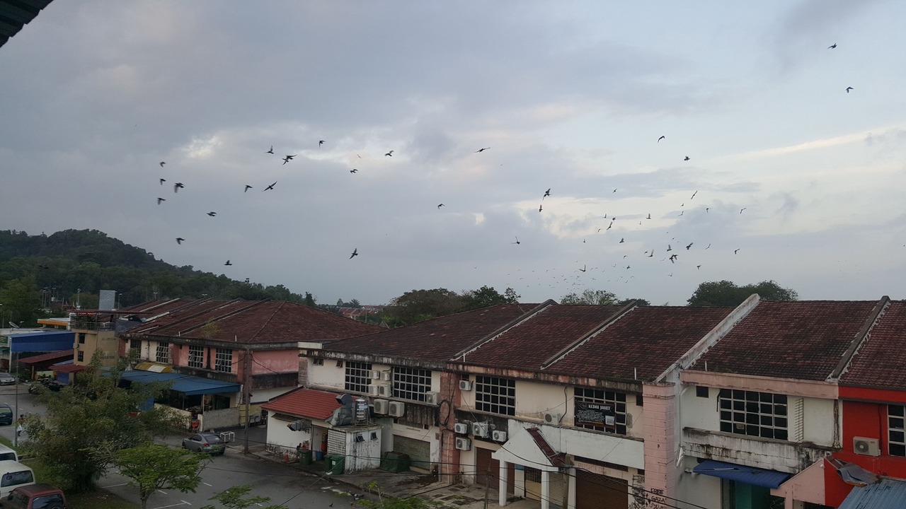 Photo of Others in Bandar Indera Mahkota