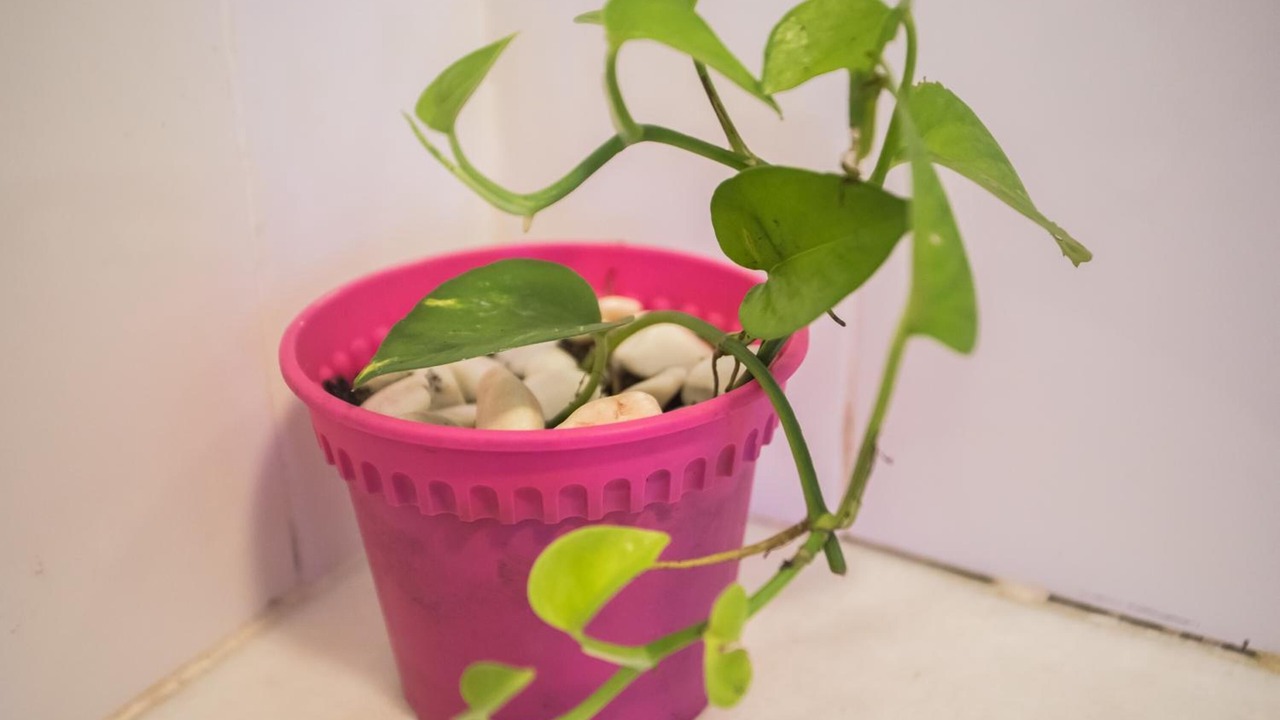 Photo of Others in Bandar Indera Mahkota