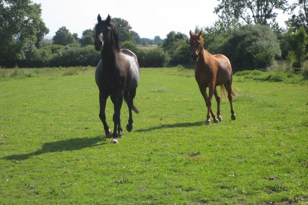 Photo of Outdoor in Verneix