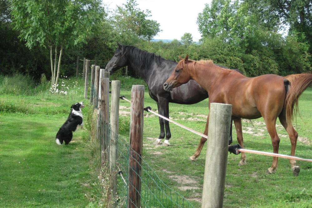 Photo of Others in Verneix