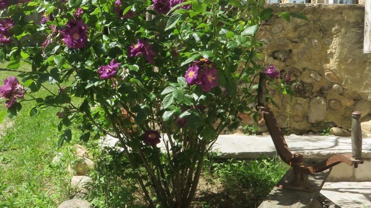 Photo of Outdoor in Chateauneuf-sur-Isere