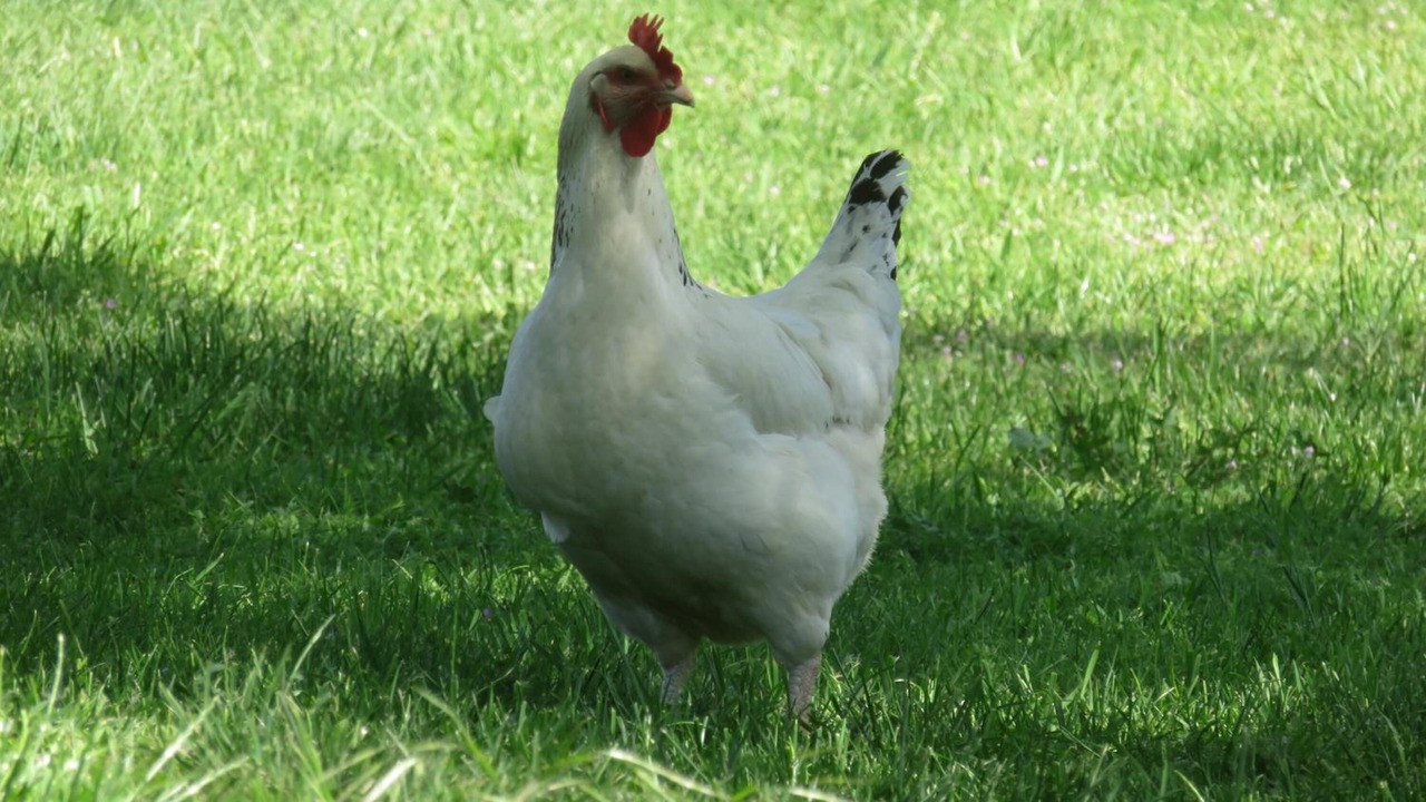 Photo of Outdoor in Chateauneuf-sur-Isere