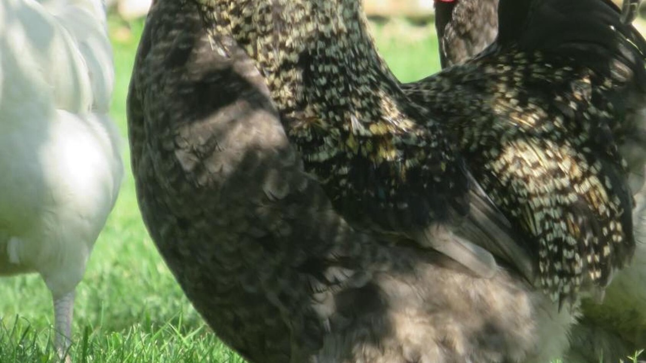 Photo of Outdoor in Chateauneuf-sur-Isere