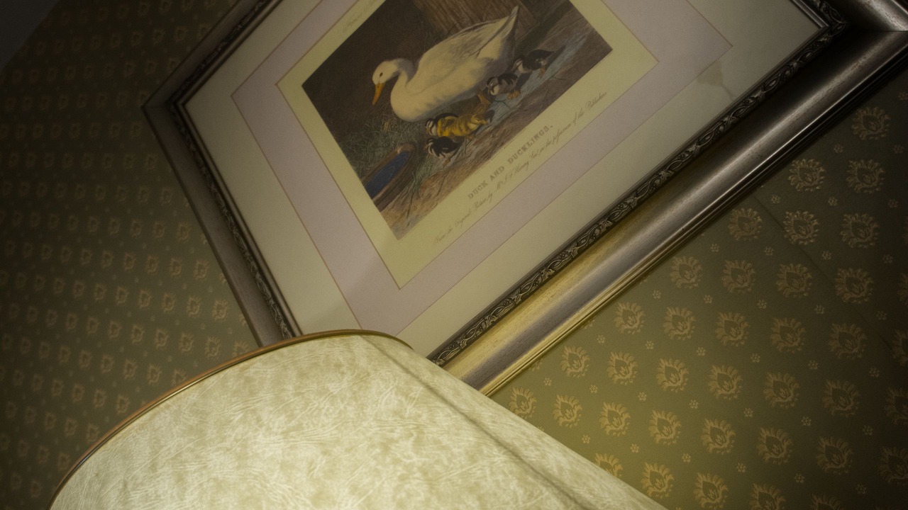 Photo of Bedroom in Aubigny-sur-Nere