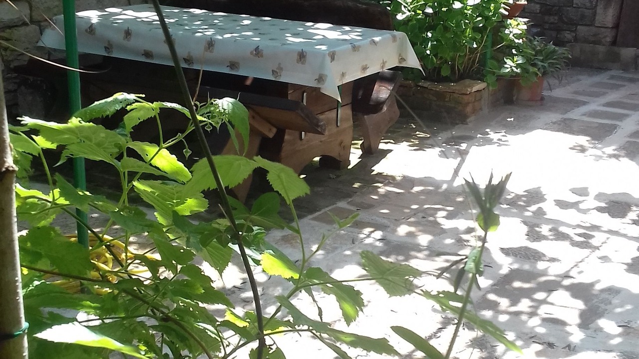 Photo of Outdoor in Bratulici