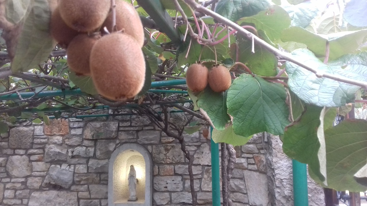 Photo of Outdoor in Bratulici