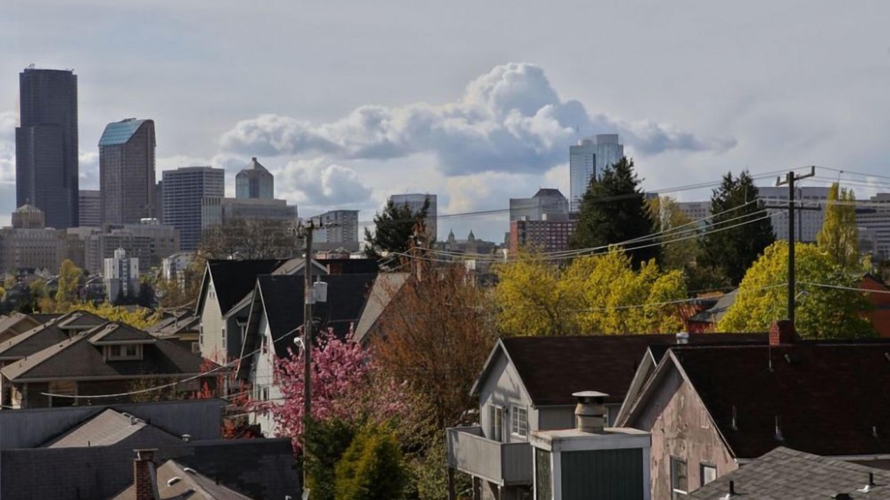 Photo of Others in Squire Park