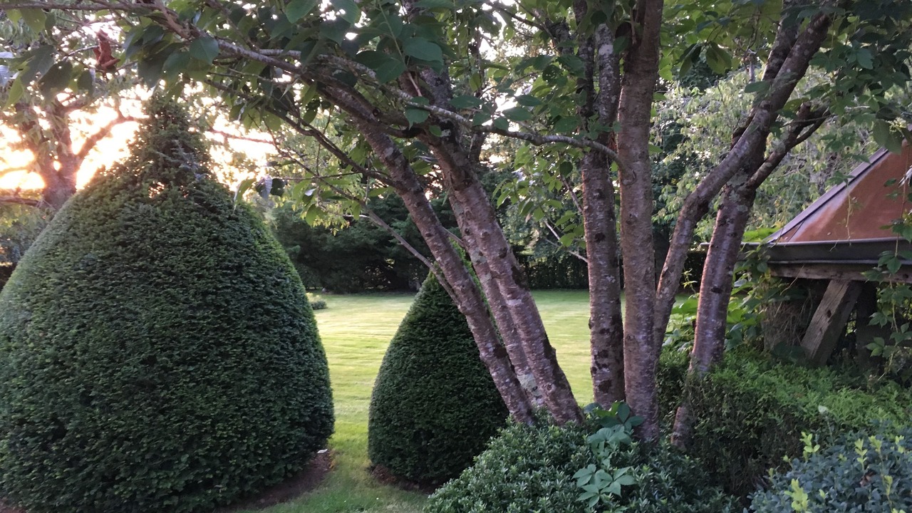 Photo of Outdoor in Monnaie