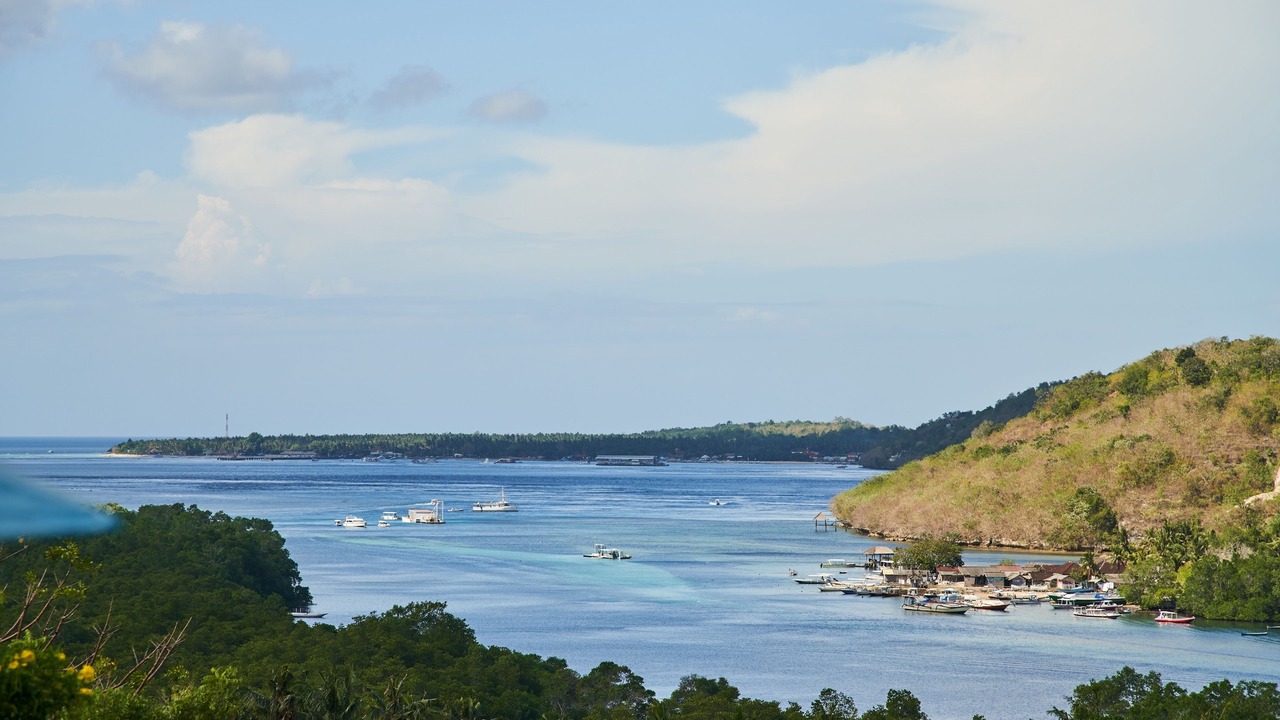 Photo of Others in Mushroom Bay