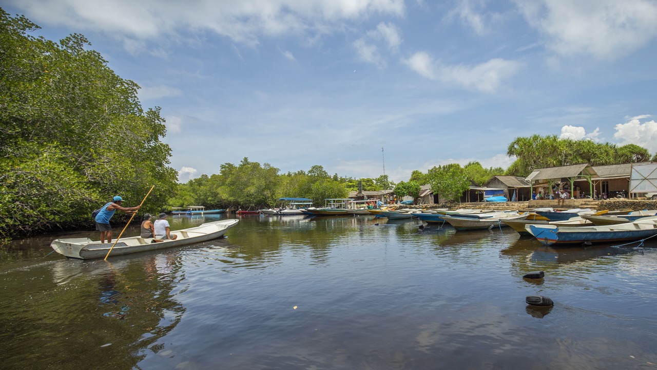 Photo of Others in Mushroom Bay