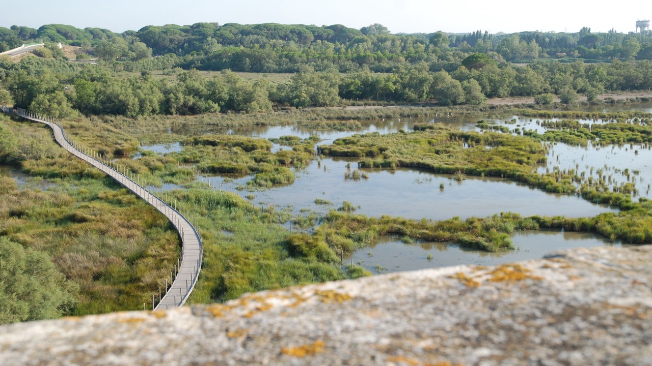 Photo of Outdoor in Le Cailar