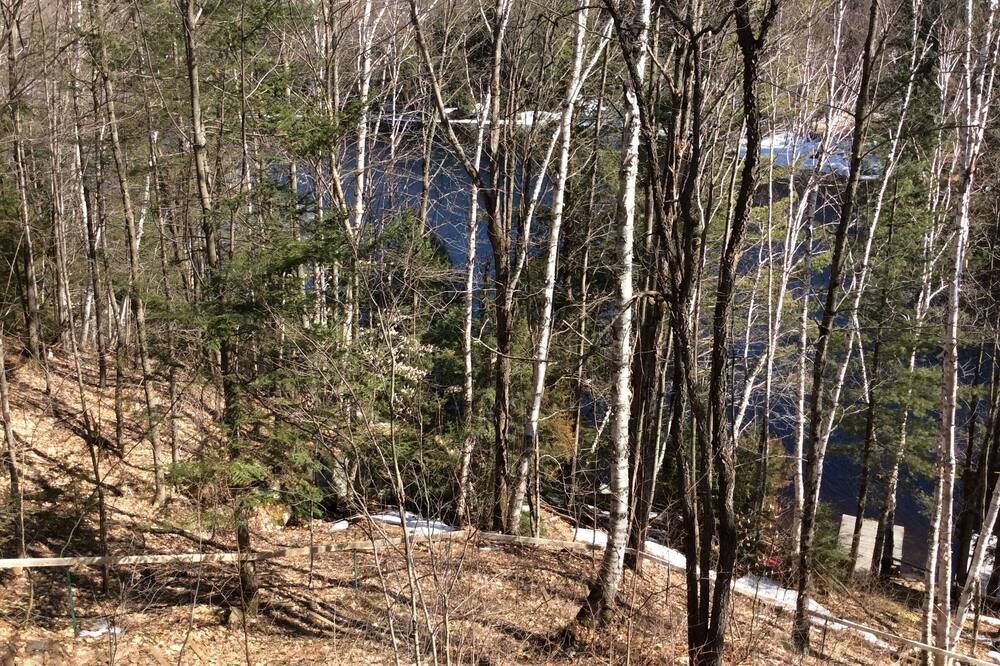 Photo of Others in Bracebridge