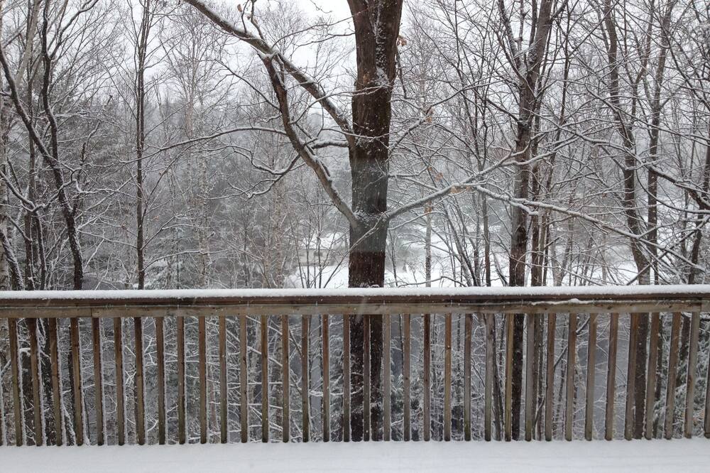 Photo of Others in Bracebridge