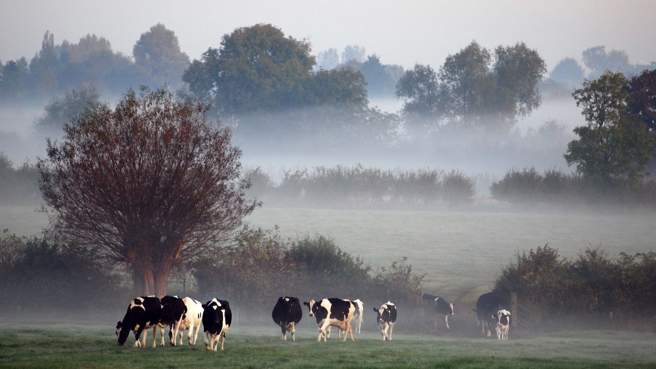 Photo of Others in Hook