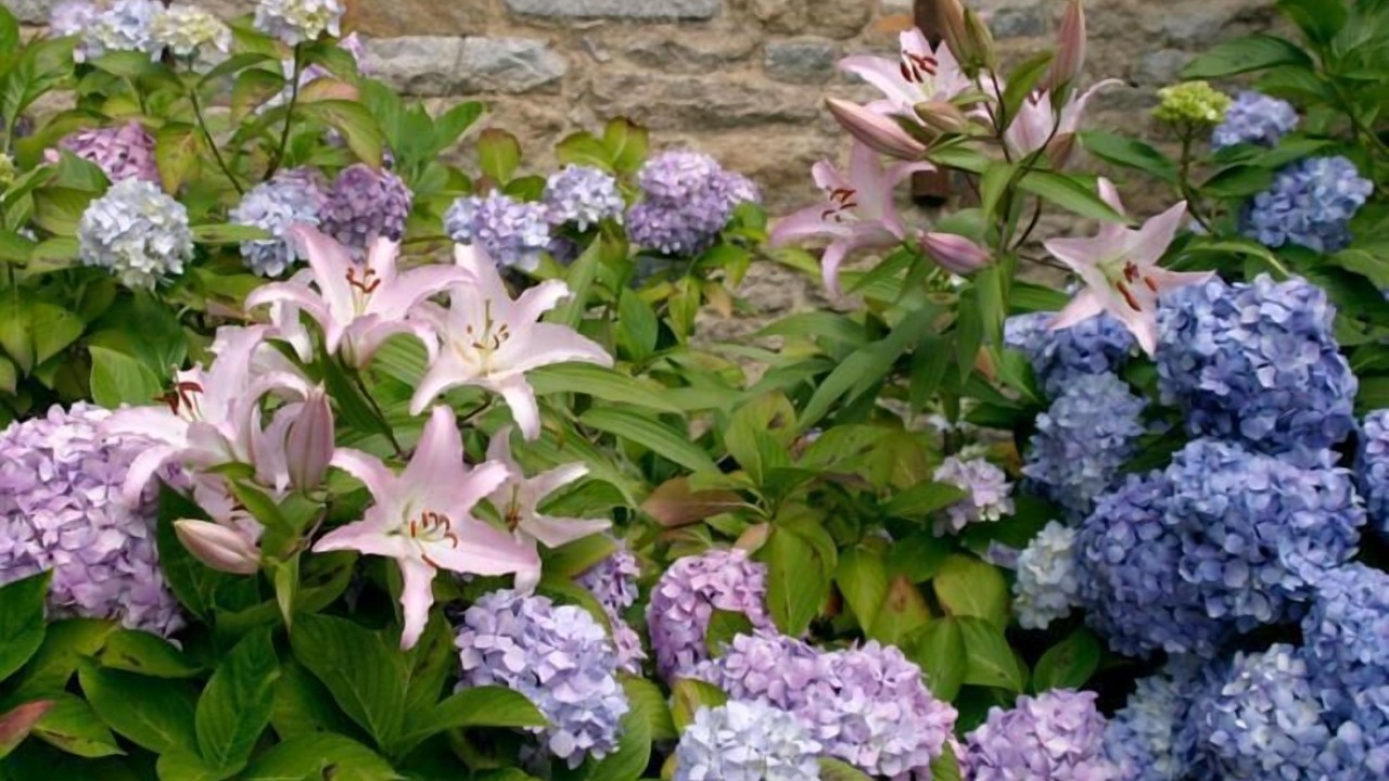 Photo of Outdoor in Plogastel-Saint-Germain