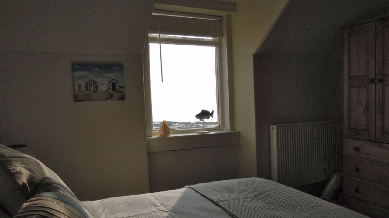 Photo of Others in Lower Largo