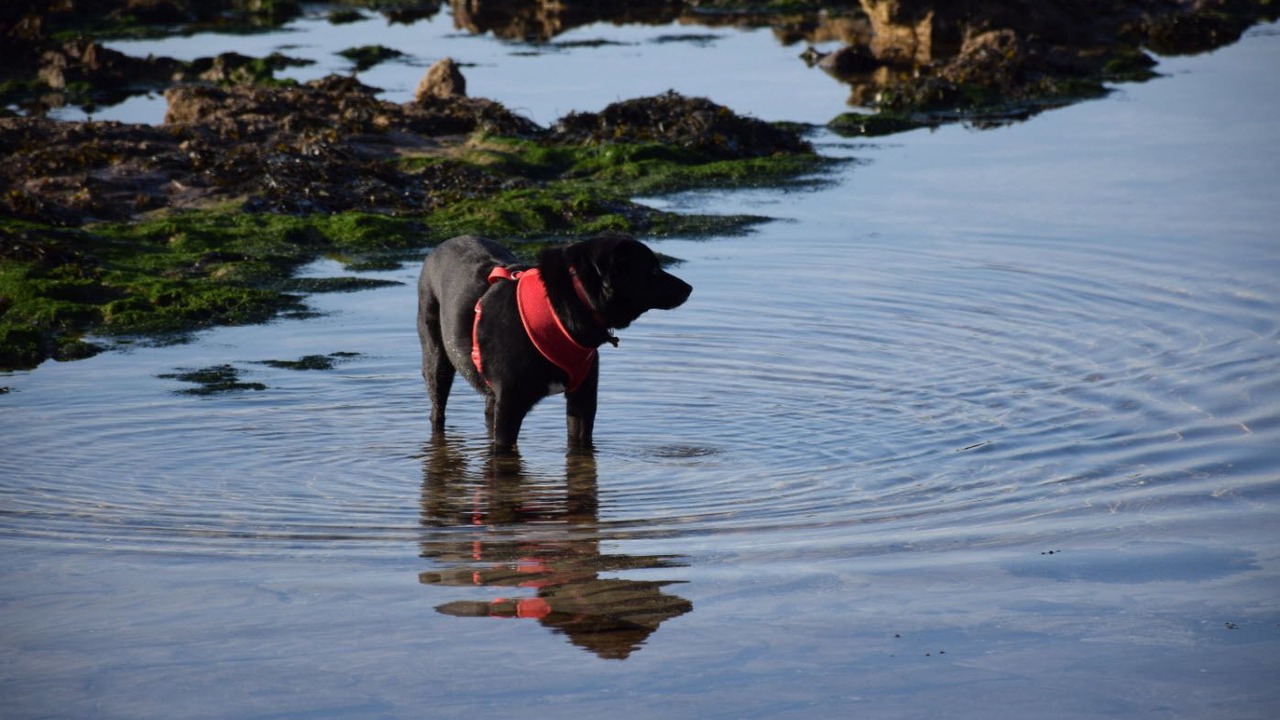 Photo of Others in Lower Largo