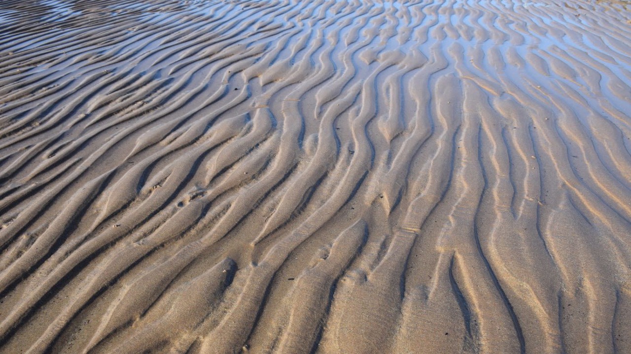 Photo of Others in Lower Largo