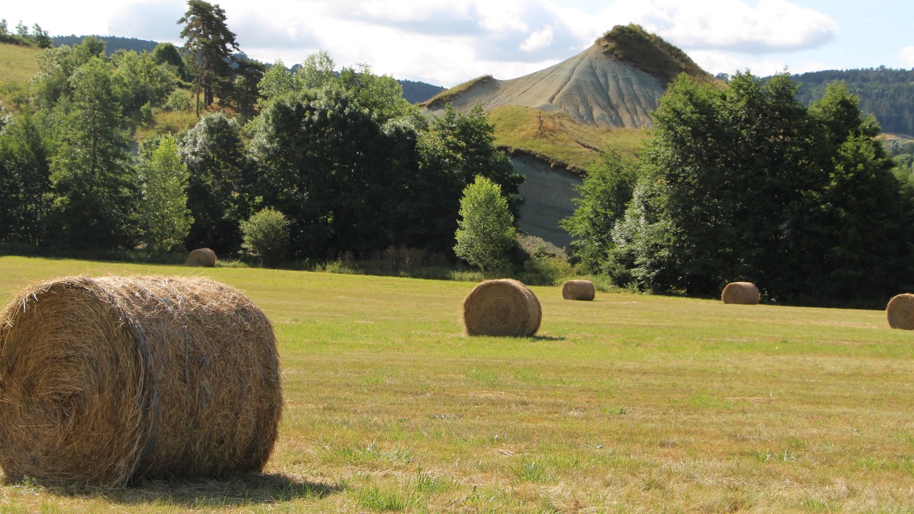 Photo of Outdoor in Polignac